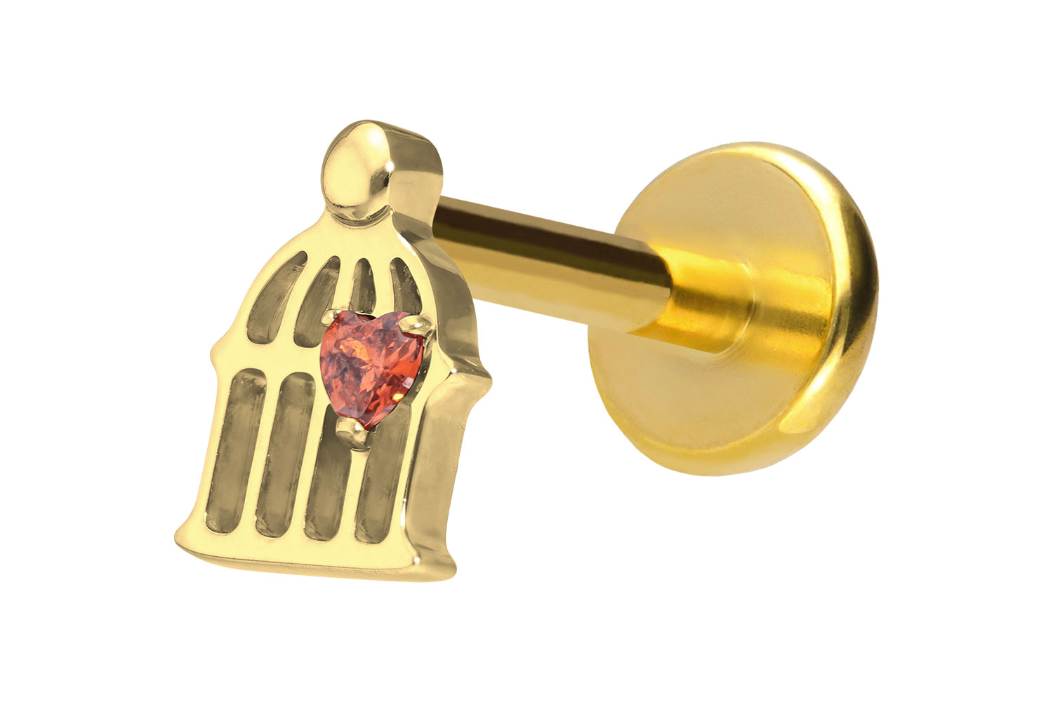 Titan Labret Piercing mit Push Fit KÄFIG